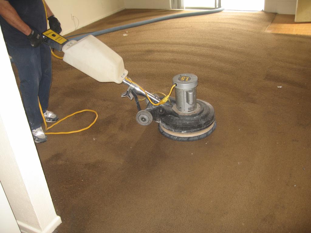 Carpet Cleaning Rental Las Vegas at Sharon Mallett blog